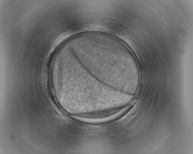 X0000111871115200908201210