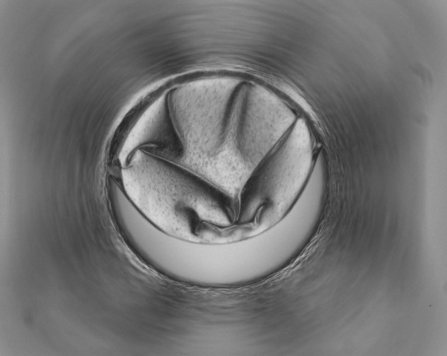 X0000111871116200908201210