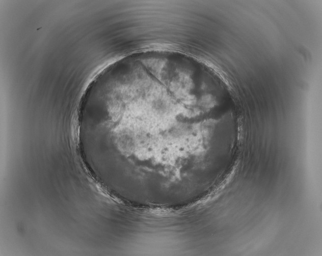 X0000111871117200908201210