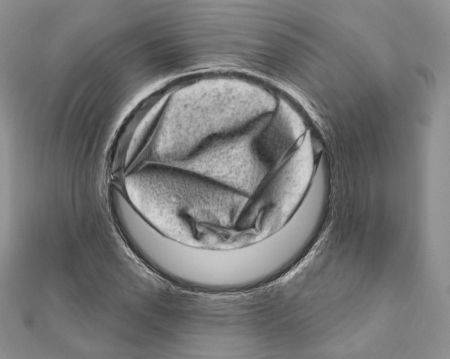 X0000111871118200908201210