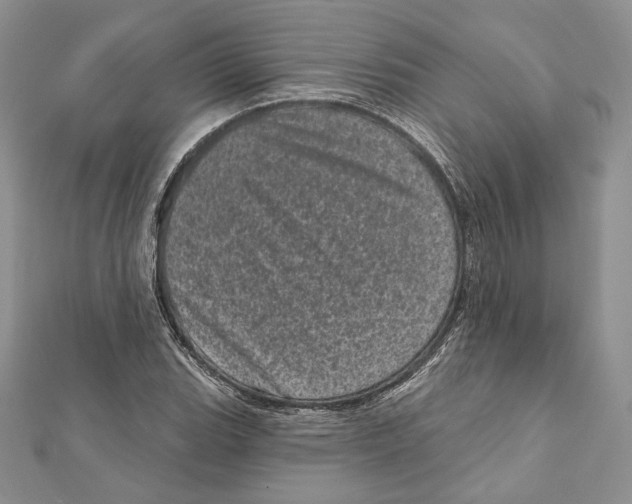 X0000111871119200908201210