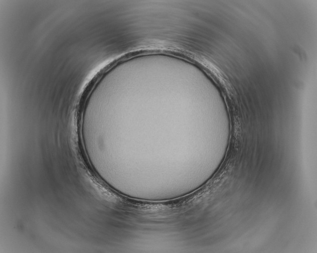 X0000111871120200908201210