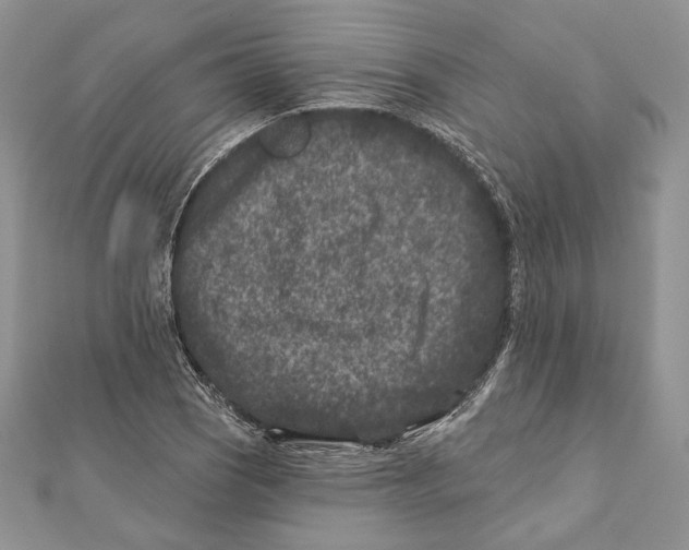 X0000111871121200908201210