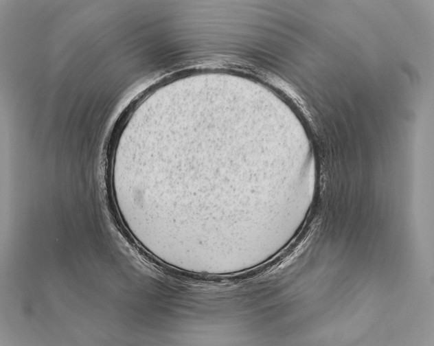 X0000111871122200908201211