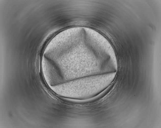 X0000111871123200908201211