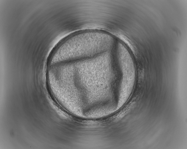 X0000111871124200908201211