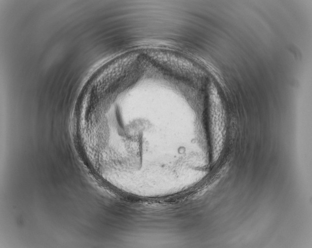 X0000111871125200908201211