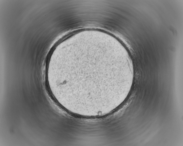 X0000111871126200908201211