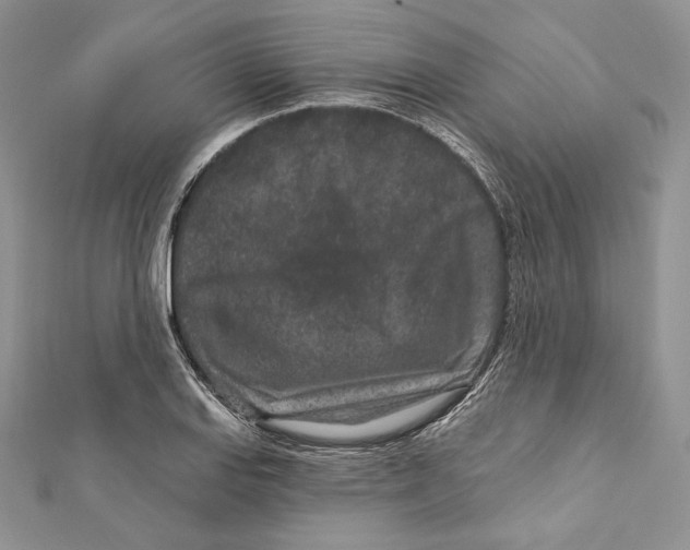 X0000111871127200908201211