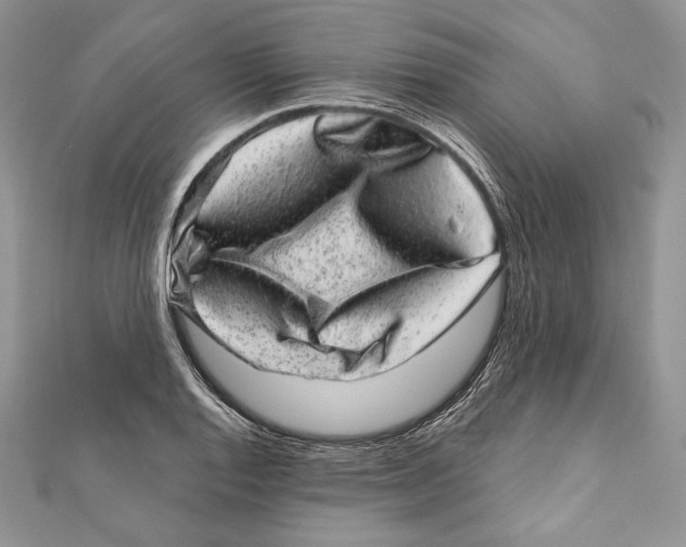 X0000111871128200908201211