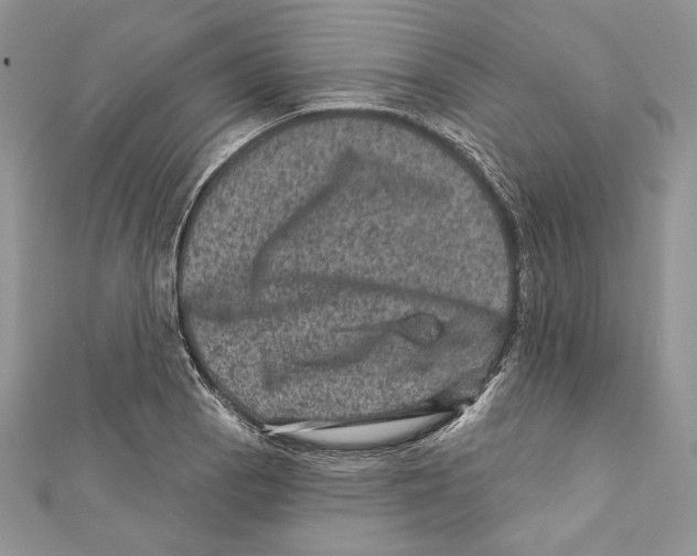 X0000111871129200908201211