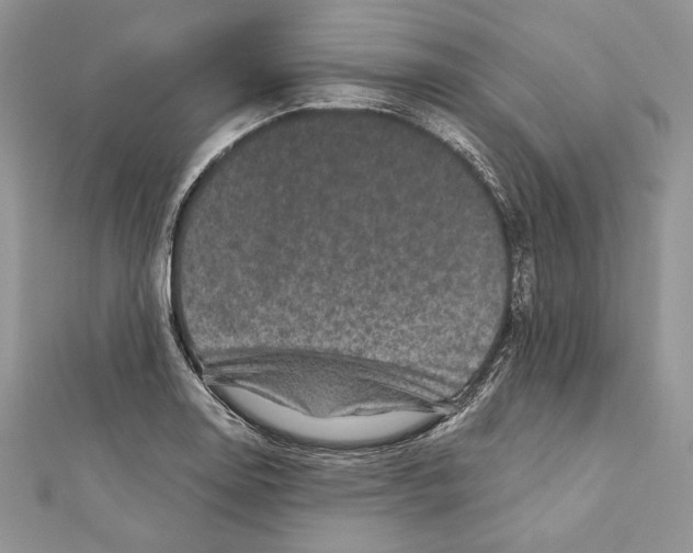 X0000111871130200908201211