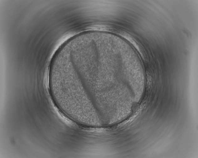 X0000111871131200908201211