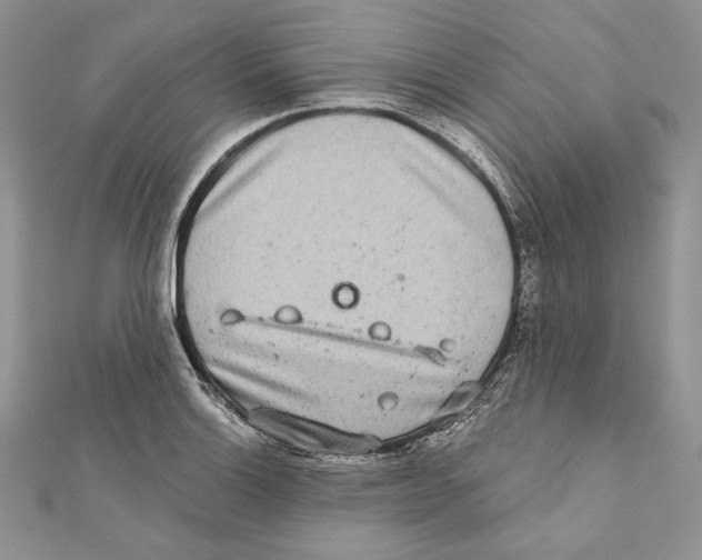 X0000111871132200908201211