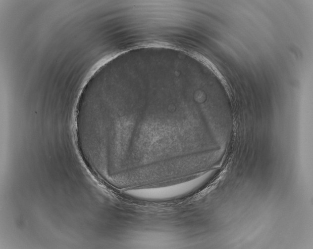 X0000111871133200908201211