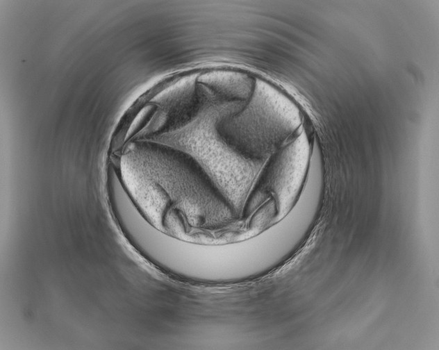 X0000111871134200908201211