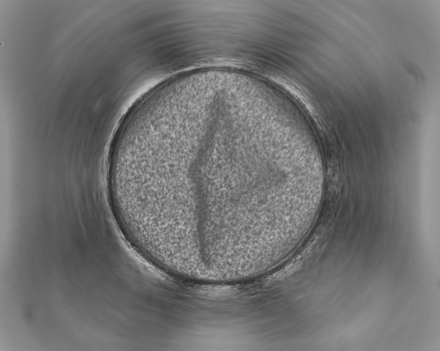 X0000111871135200908201211