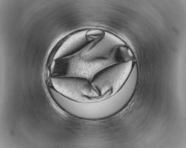 X0000111871136200908201211