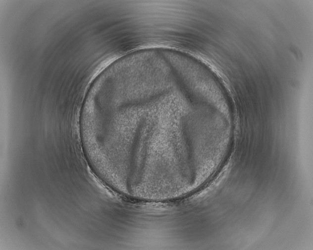 X0000111871137200908201211