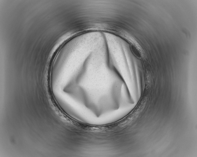 X0000111871138200908201211