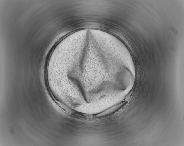 X0000111871139200908201211