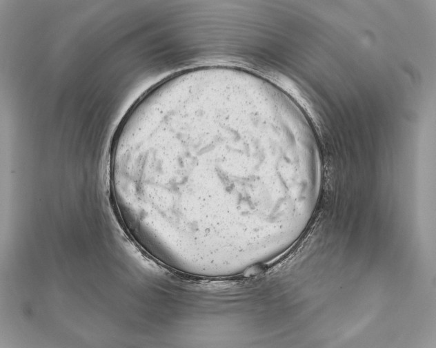 X0000111871140200908201211