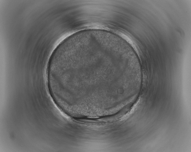 X0000111871141200908201211