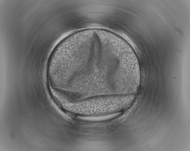 X0000111871142200908201211