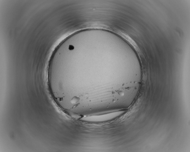 X0000111871144200908201211