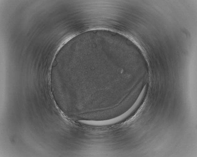 X0000111871145200908201211