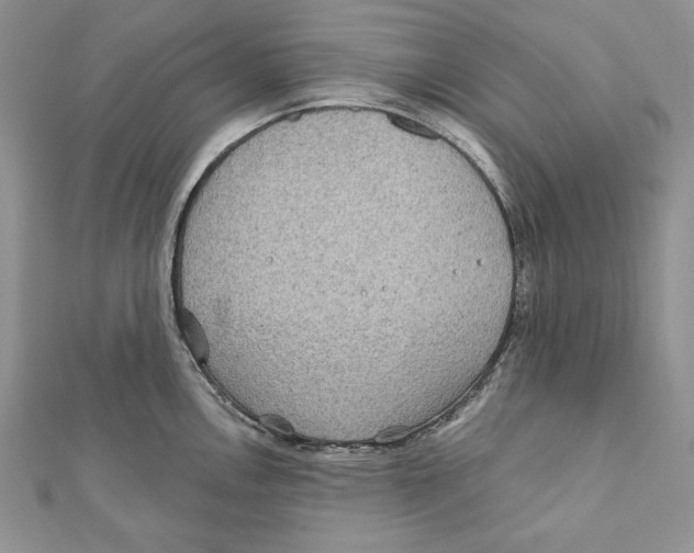 X0000111871146200908201211