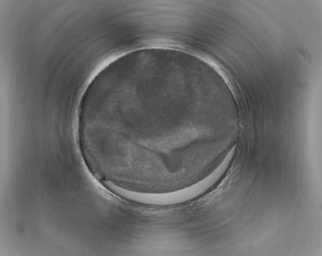 X0000111871147200908201211