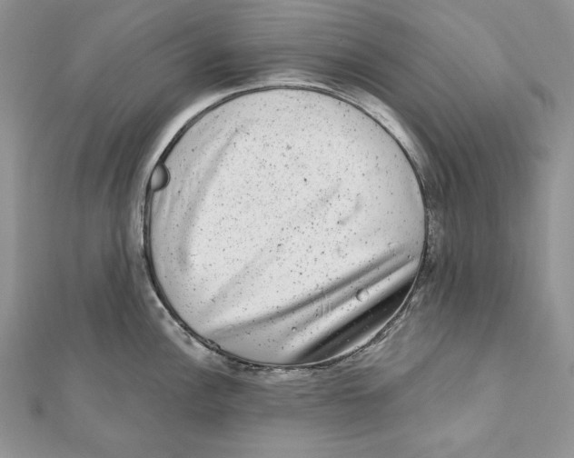 X0000111871148200908201211