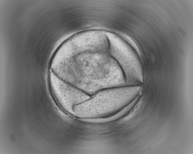 X0000111871149200908201211