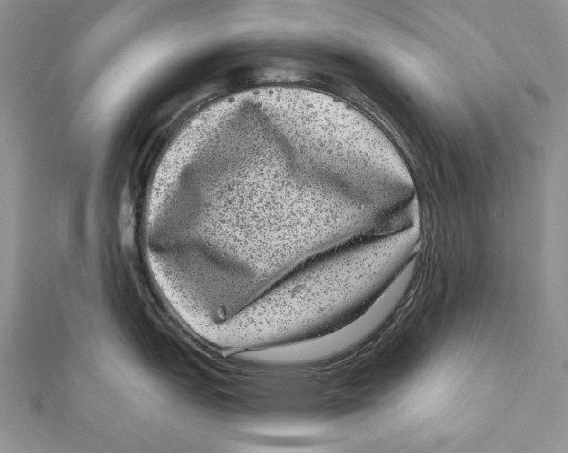 X0000111871151200908201211