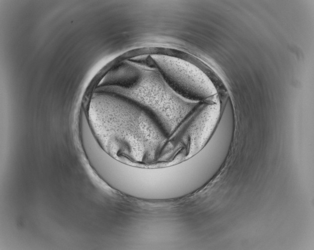 X0000111871152200908201211