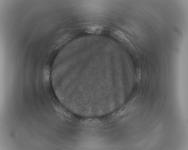 X0000111871154200908201210