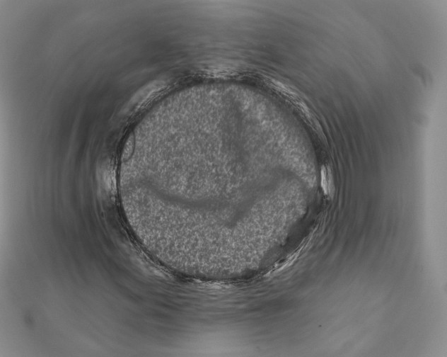 X0000111871155200908201210