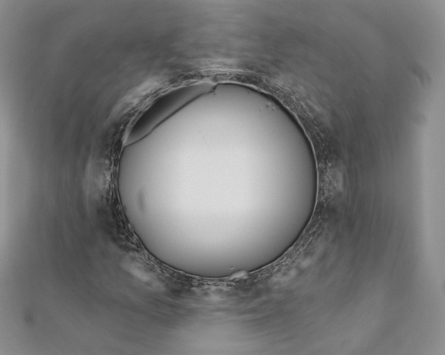 X0000111871157200908201210