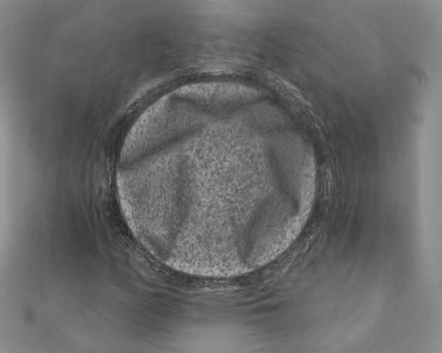 X0000111871158200908201210