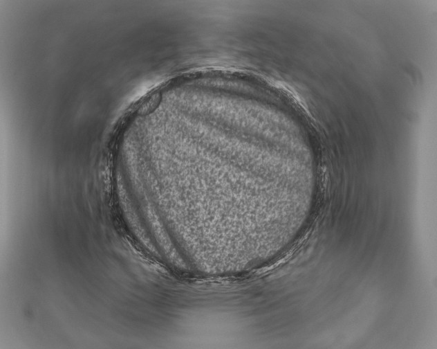 X0000111871159200908201210