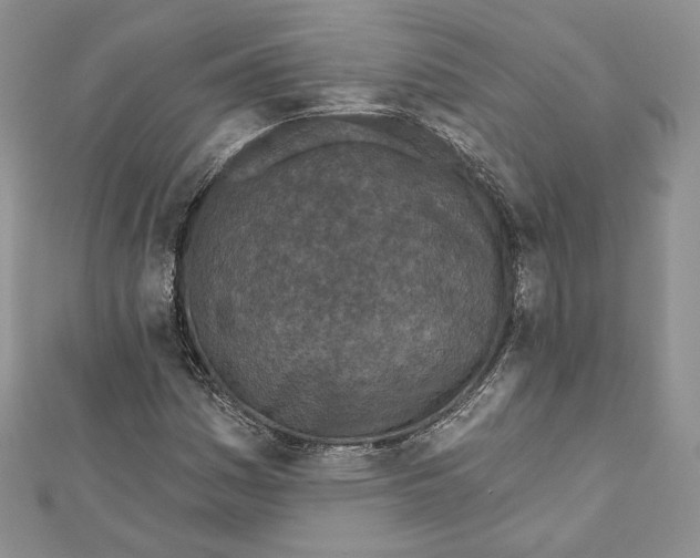 X0000111871161200908201210