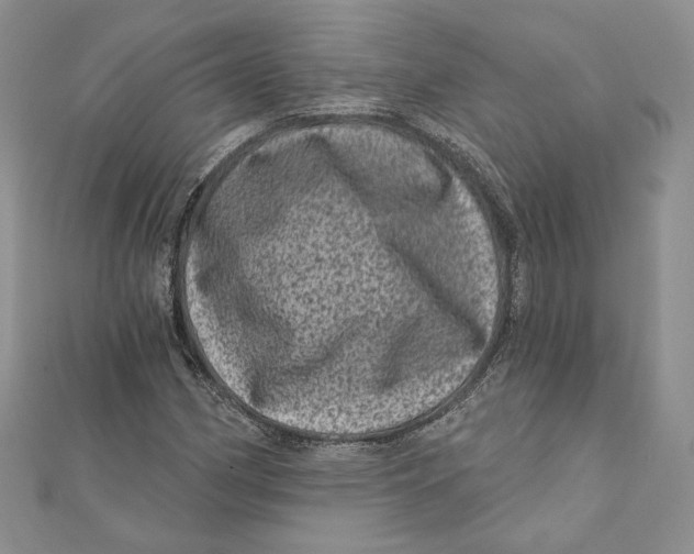 X0000111871162200908201210