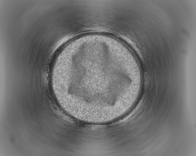 X0000111871163200908201210