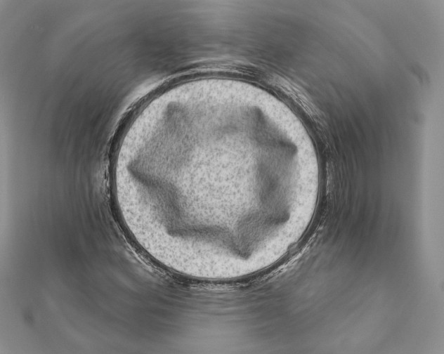 X0000111871164200908201210