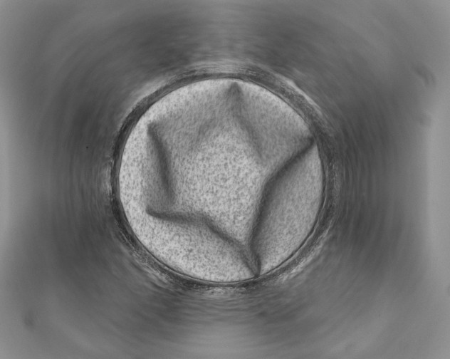 X0000111871166200908201210