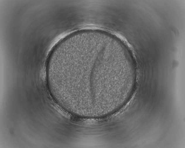 X0000111871167200908201210