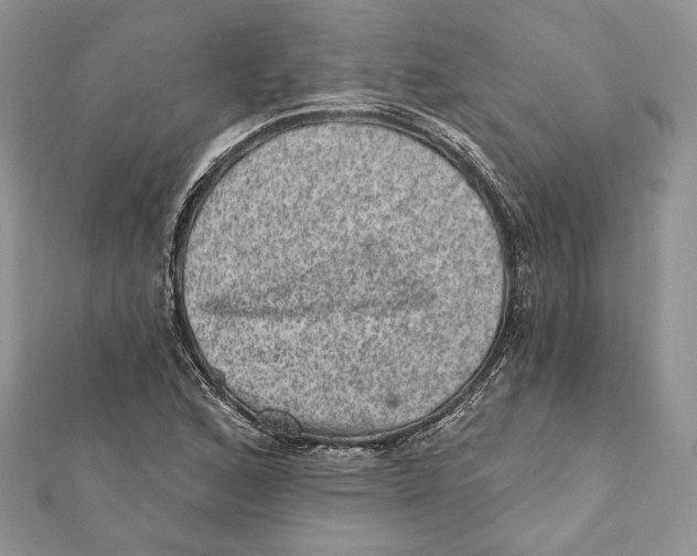 X0000111871168200908201210