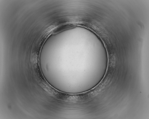 X0000111871169200908201210