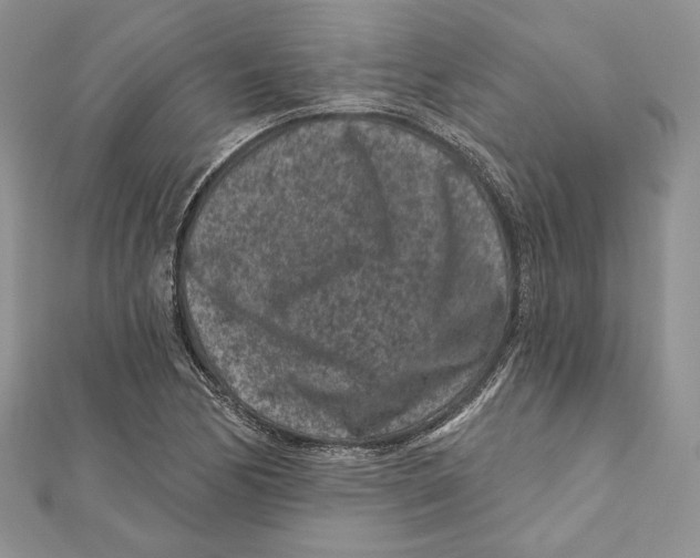 X0000111871170200908201210